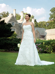Alfred Angelo Bridal Collection