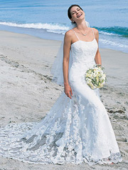Alfred Angelo Bridal Collection