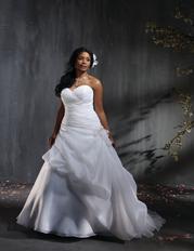 Alfred Angelo Plus Size Bridal