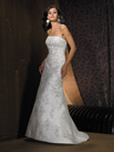 Allure Bridal Collection