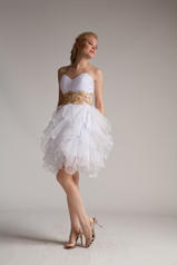 Colors Dress Collection