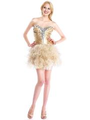 Colors Dress Collection
