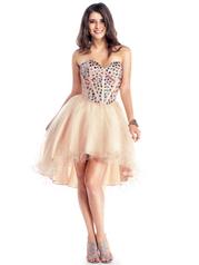 Colors Dress Collection