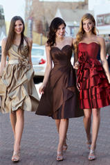 Impression Bridesmaids Collection