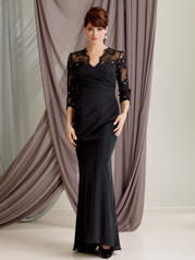 Lace Sleeves