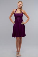 Liz Fields Bridesmaids