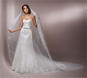 Veil Only