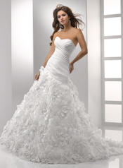 Sottero and Midgley Collection