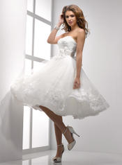 Sottero and Midgley Collection