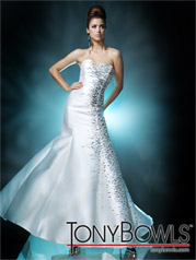 Tony Bowls Collection