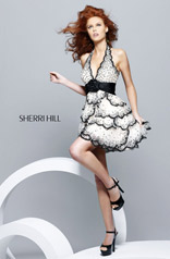 2010 Prom Dress - Sherri Hill 
