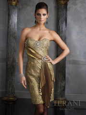 Terani Couture Evening
