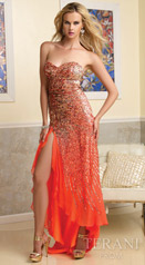 Terani Prom Gowns