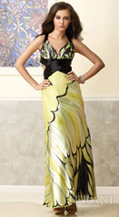 Terani Prom Gowns