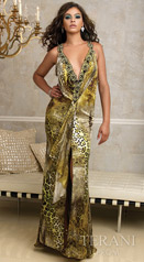 Terani Prom Gowns