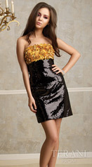 Terani Short Prom Dresses