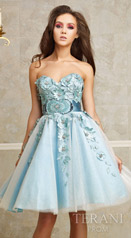 Terani Short Prom Dresses