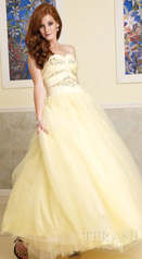 Terani Prom Ballgowns