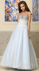 Terani Prom Ballgowns