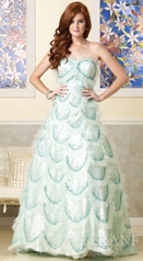 Terani Prom Ballgowns