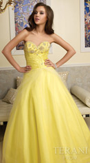 Terani Prom Ballgowns