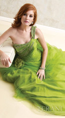 Terani Prom Ballgowns