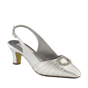 Dyeables Evening Shoes