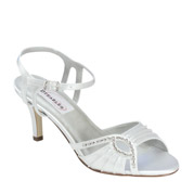 Dyeables Evening Shoes