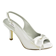 Dyeables Evening Shoes
