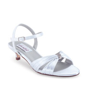 Dyeables Evening Shoes