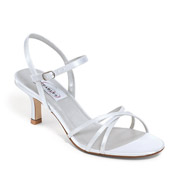 Dyeables Evening Shoes
