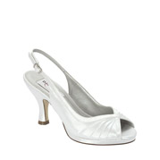Dyeables Evening Shoes