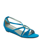 Dyeables Evening Shoes