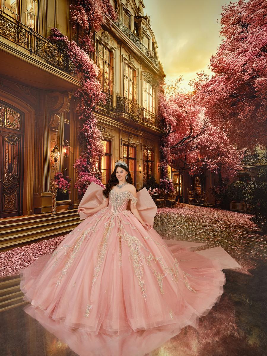 pink and blue quinceanera dresses Rachel Allan RQ2190 Quinceanera Applique Long Ball Gown
